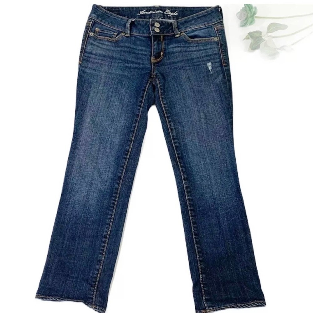 American Eagle Artist Crop Jeans Size 4 Low Rise